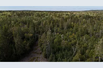 Lot #3 Pyne Cove Road, Steuben, ME 04680 - Photo 13