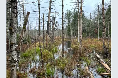 M6L34 Rabbit Path Road, Corinth, ME 04427 - Photo 15