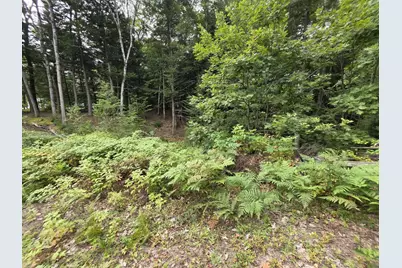 Lot 8 & 49 Watson Pond Road, Rome, ME 04963 - Photo 5