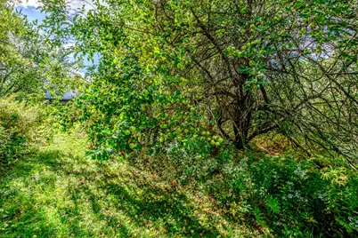 325 S Main Street, Andover, ME 04216 - Photo 85