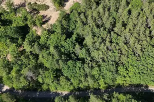 Lot 23 F1 Little Poverty Pond Rd, Shapleigh, ME 04076 - Photo 1