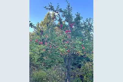 942 W Road, New Sweden, ME 04762 - Photo 29