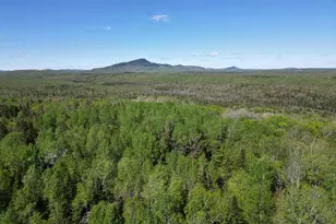 919 Shin Pond Rd, Mount Chase, ME 04765 - Photo 23