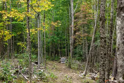 60 Coffin Road, Springfield, ME 04487 - Photo 25