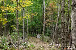 60 Coffin Rd, Springfield, ME 04487 - Photo 25