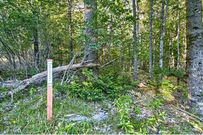Tbd Pretty Marsh Road, Mount Desert, ME 04660 - Photo 3