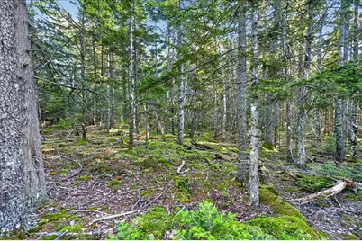 Tbd Pretty Marsh Road, Mount Desert, ME 04660 - Photo 5