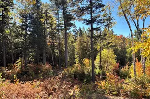 3039 Carrabassett Dr, Carrabassett Valley, ME 04947 - Photo 31