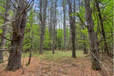 Tbd Edes Falls Road, Harrison, ME 04040 - Photo 5