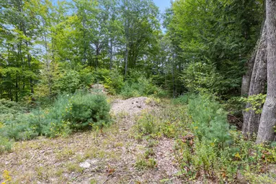 Lots 32/33 Spec Pond Road, Porter, ME 04068 - Photo 9