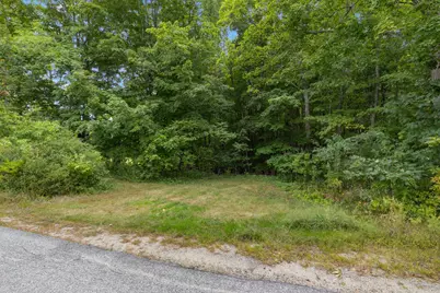 Lots 32/33 Spec Pond Road, Porter, ME 04068 - Photo 7
