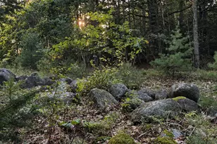 M10 L23-1 Blackswoods Rd, Franklin, ME 04634 - Photo 1