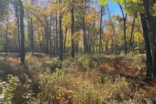 96 Ledgewood Ln, Brownfield, ME 04010 - Photo 103