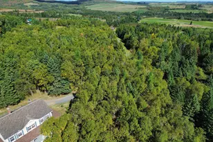 365 Flat Mountain Rd, Saint Agatha, ME 04772 - Photo 93