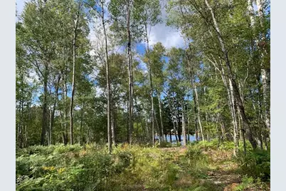 Lot 56 Off Dunns Point Way, Machiasport, ME 04655 - Photo 9