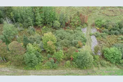 Lot 9 Baker Ridge Road, Danforth, ME 04424 - Photo 15