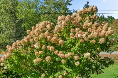 12 Butler Road, Boothbay, ME 04537 - Photo 57