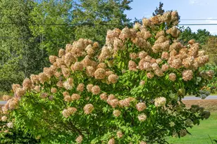 12 Butler Rd, Boothbay, ME 04537 - Photo 57