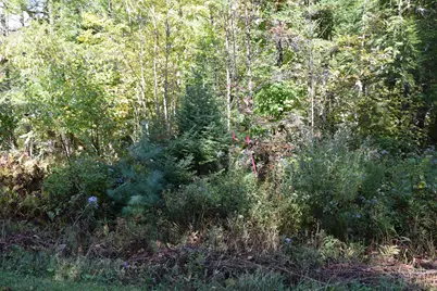 M10 L11 Off Campbell Road, Athens, ME 04912 - Photo 7
