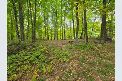 188 Clover Mill Road, Farmington, ME 04938 - Photo 9
