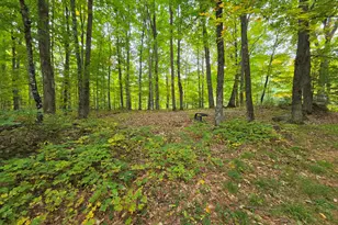 188 Clover Mill Rd, Farmington, ME 04938 - Photo 9