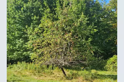 265 Sopers Mill Road, Auburn, ME 04210 - Photo 25