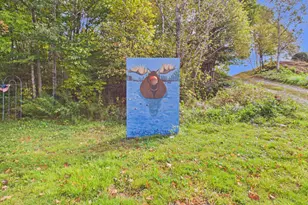 10 Dickey Rd, Allagash, ME 04774 - Photo 79