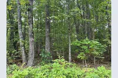 L23-1 Buzzell Hill Road, Hope, ME 04847 - Photo 1