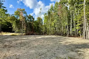 157 Winkumpaugh Rd, Orland, ME 04472 - Photo 1