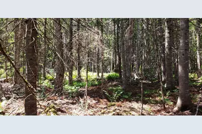 Lot#6 Old County Road, Milo, ME 04463 - Photo 3