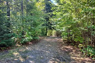 429 Hole in the Wall Rd, Solon, ME 04979 - Photo 9
