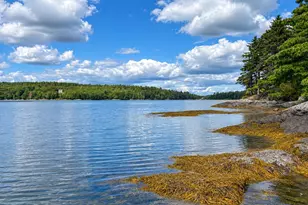 135 Friend's Way, Blue Hill, ME 04614 - Photo 13