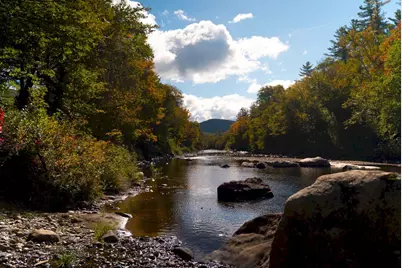 1922 Roxbury Road, Roxbury, ME 04275 - Photo 15