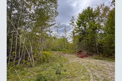 Lots 17+18 Junior Williams Road, Wesley, ME 04686 - Photo 5