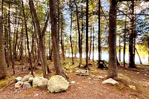 Lot 02 Flat Iron Pond Road Rd, T3 R9 Nwp, ME 04462 - Photo 3