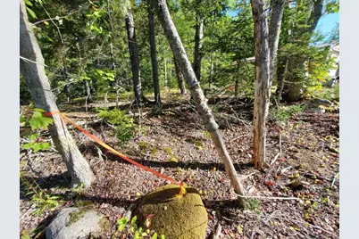 0 Reach and Folly Roads, Brooklin, ME 04616 - Photo 35
