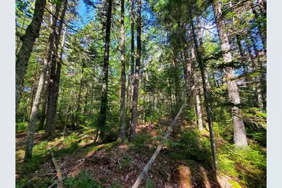0 Reach and Folly Roads, Brooklin, ME 04616 - Photo 37