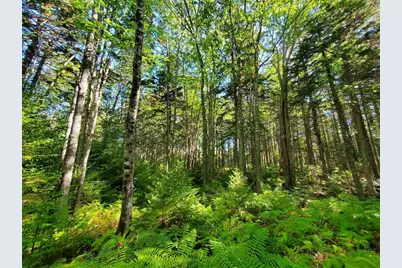 0 Reach and Folly Roads, Brooklin, ME 04616 - Photo 25