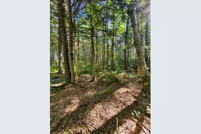 0 Reach and Folly Roads, Brooklin, ME 04616 - Photo 11