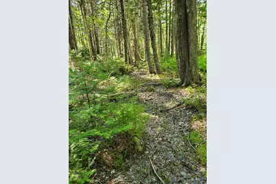 0 Reach and Folly Roads, Brooklin, ME 04616 - Photo 31
