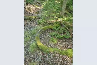 0 Reach and Folly Roads, Brooklin, ME 04616 - Photo 29
