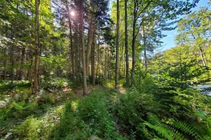 0 Reach and Folly Roads, Brooklin, ME 04616 - Photo 1