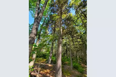 0 Reach and Folly Roads, Brooklin, ME 04616 - Photo 7