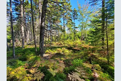 0 Reach and Folly Roads, Brooklin, ME 04616 - Photo 39