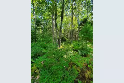 0 Reach and Folly Roads, Brooklin, ME 04616 - Photo 23