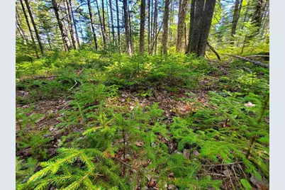 0 Reach and Folly Roads, Brooklin, ME 04616 - Photo 17