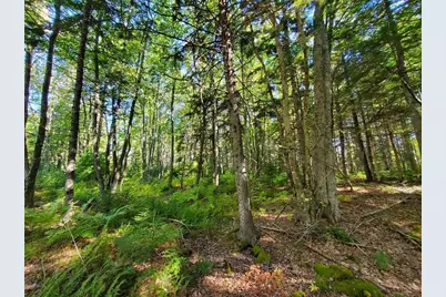 0 Reach and Folly Roads, Brooklin, ME 04616 - Photo 9