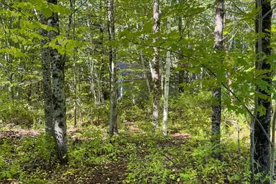 1568 Clarry Hill Road, Union, ME 04862 - Photo 43