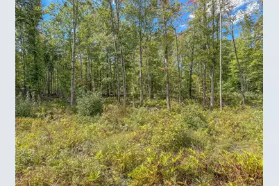 Lot 23 Paradis Road, Peru, ME 04290 - Photo 13