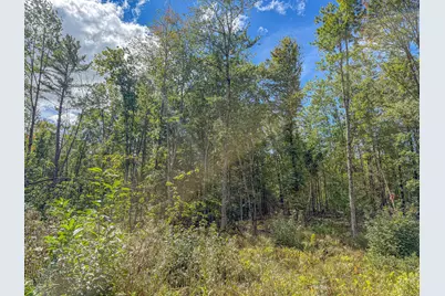 Lot 23 Paradis Road, Peru, ME 04290 - Photo 17
